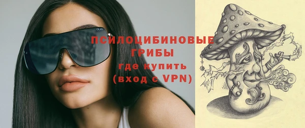 соль ск Козловка
