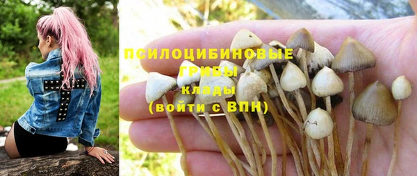 каннабис Кодинск