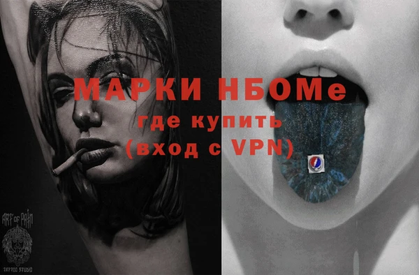 стаф Кинешма