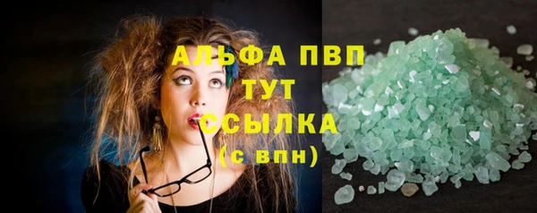 индика Балахна