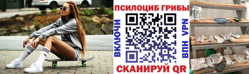 Псилоцибиновые грибы Psilocybe  Котельники 